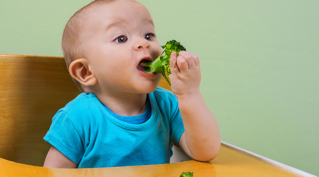 Baby Beikost Rezepte, Tipps und Pläne – die App, die Eltern begeistert