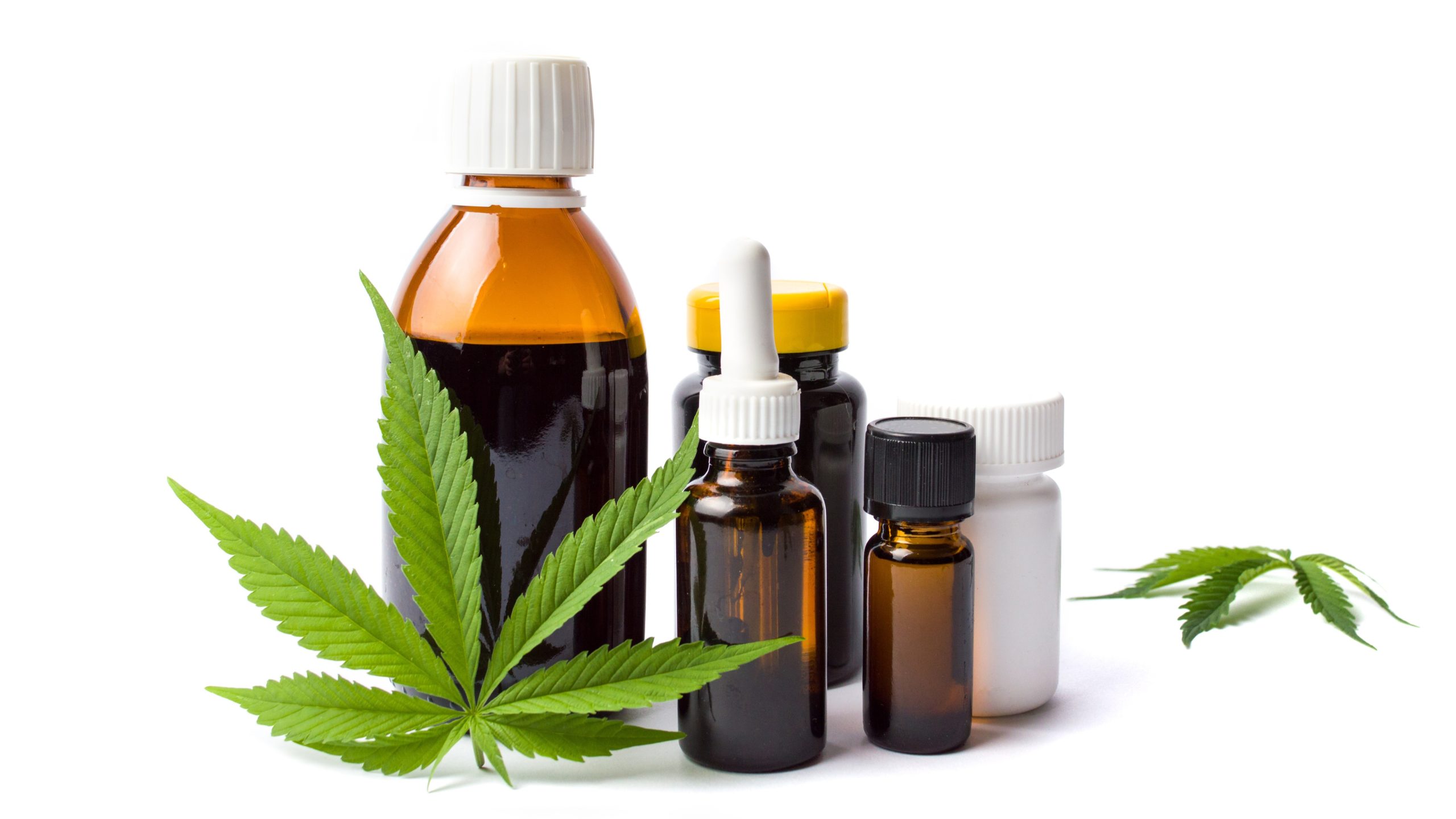 Cannabisöl Herstellung neu gedacht: Wernard Bruining und seine Methode bei Cbdladen