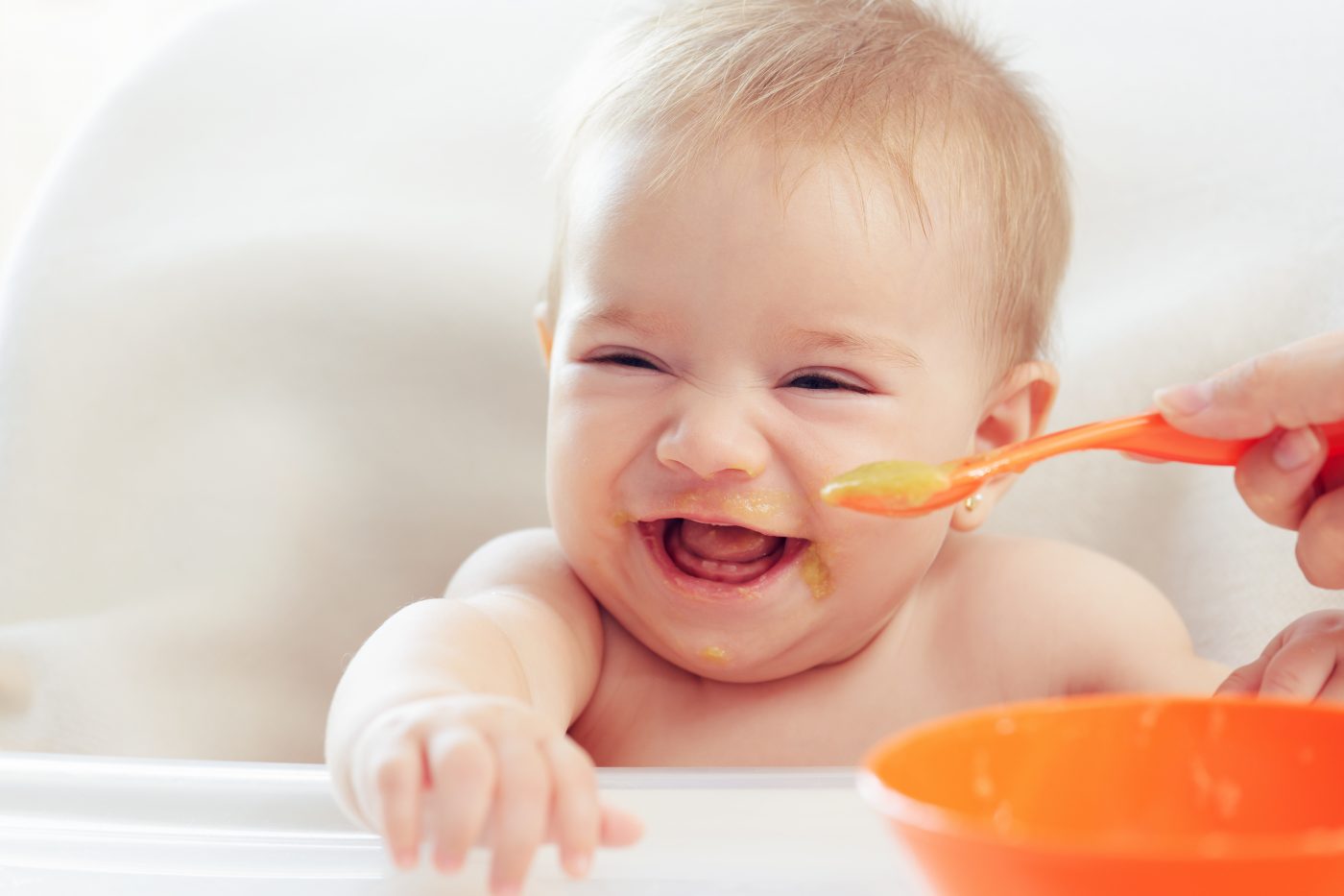Baby Beikost Rezepte, Tipps und Pläne – die App, die Eltern begeistert