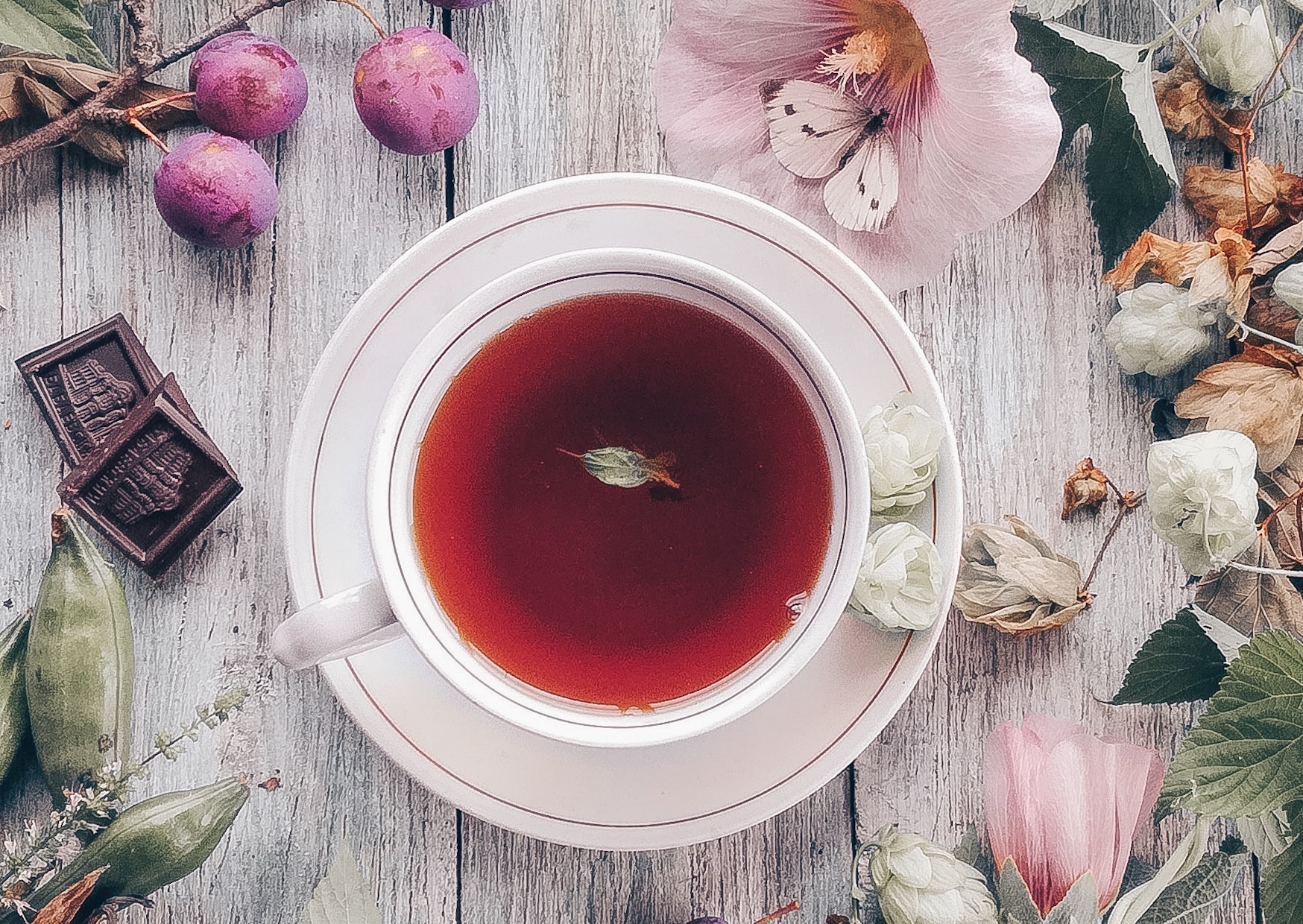 Für deinen Detox-Moment – Bio Detox Tee bestellen und wohlfühlen